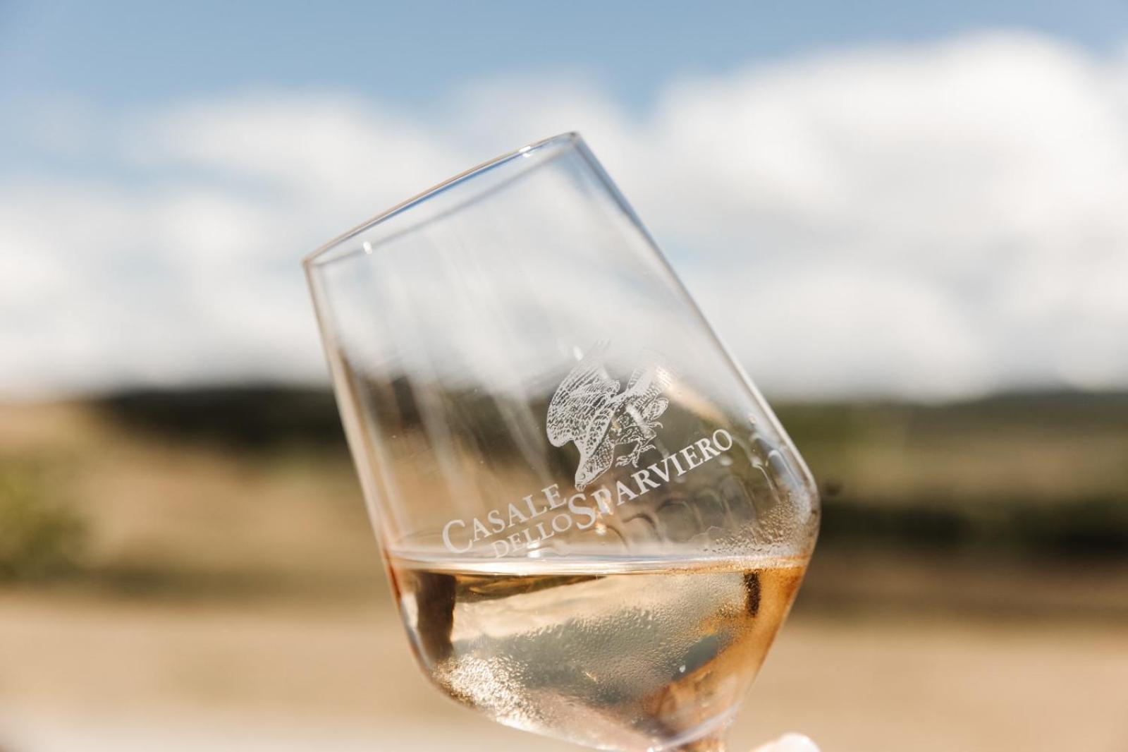 Agriturismo Casale Dello Sparviero Castellina in Chianti Zewnętrze zdjęcie
